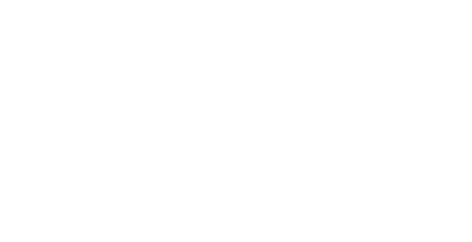 Far Out Bali Logo